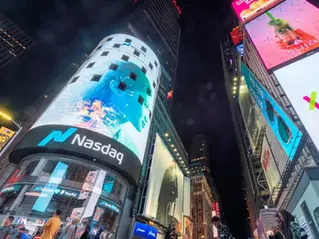 Company Stock Investor