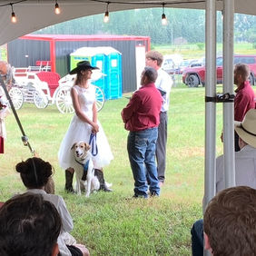 picture of Audeamus service dogs