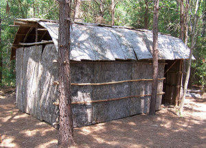 Incredible Indigenous Groups