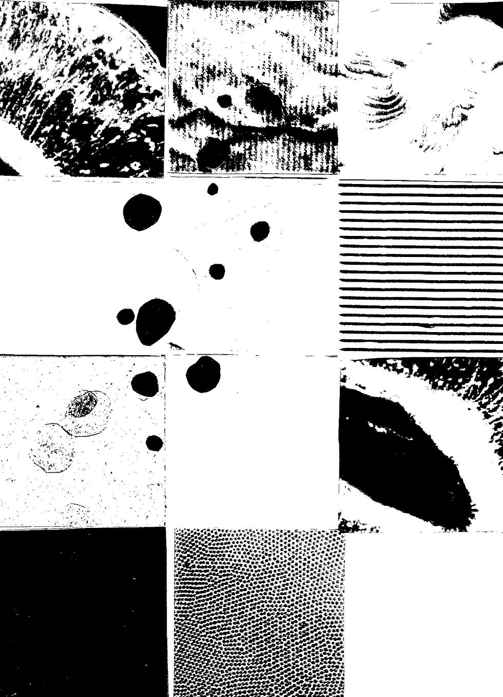 luxography