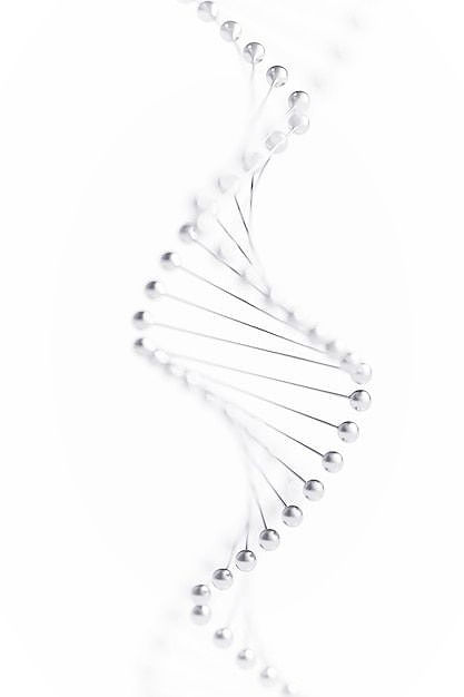 Dna model isolated on white background 3d illustration _ Premium Photo.jpg