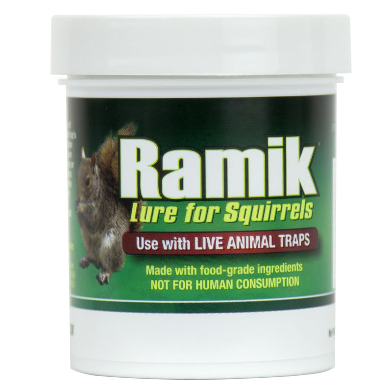 Thumbnail: Ramik Cage Trap