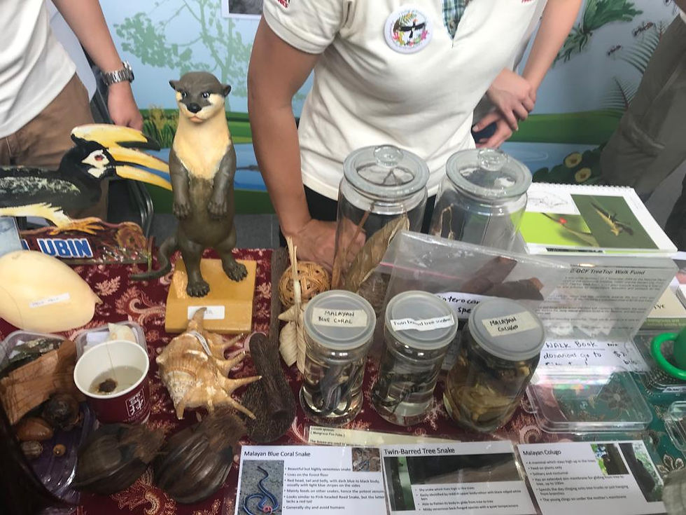 WhatsApp Image 2019-05-30 at 5.04