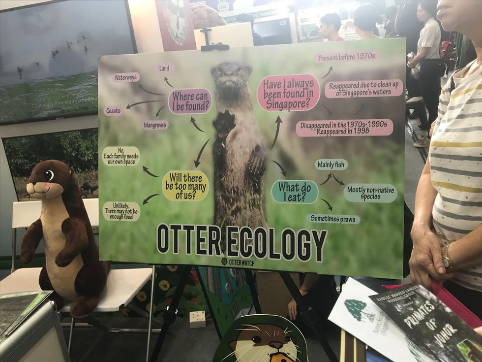 WhatsApp Image 2019-05-30 at 5.04