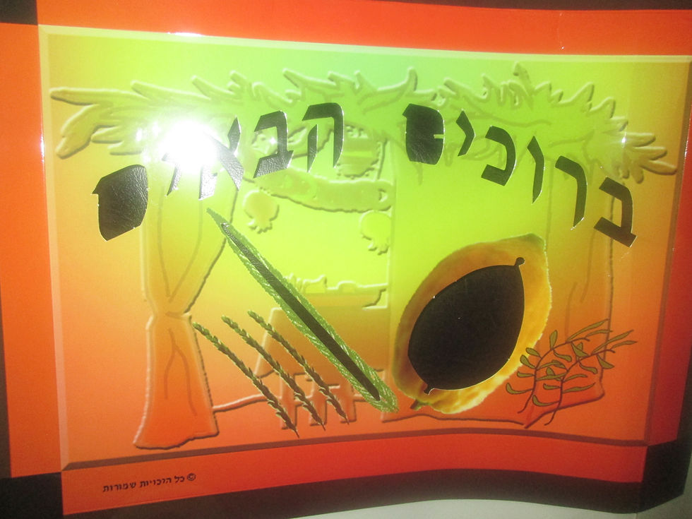 תמונה ממוזערת: קישוט סוכה