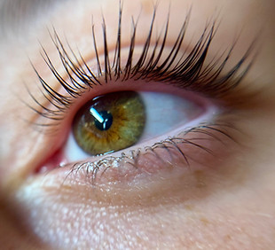 Lash Lift and Tint