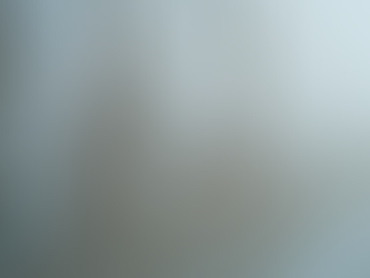 Getting a Mould Removal Quote: What You Need to Know