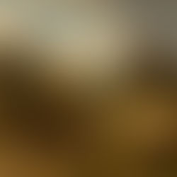 Into the Field of Edom: Poland and the Frankist Imagination