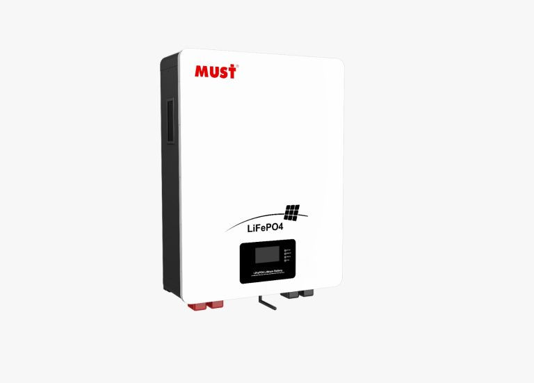 Must lithium battery picture