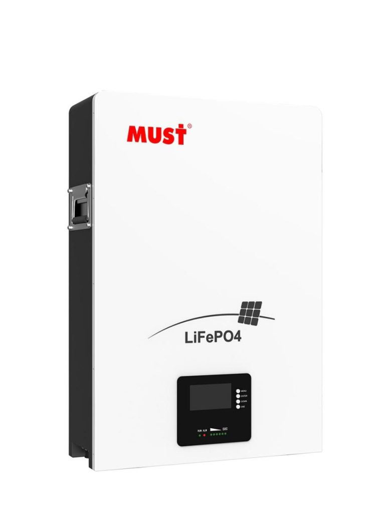 Must lithium battery picture