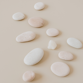 Beige Ivory Minimalist Online Wellness Workshop Announcement (Photo Book (8 x 8 in)) copy