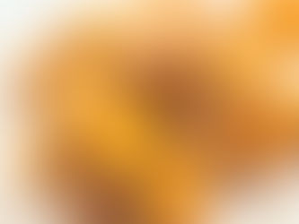 「木の芽と実山椒」のポテトフライ