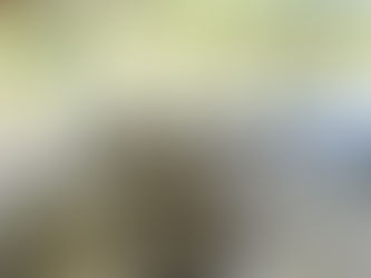 Dockside Boat Detailing: A Convenient Option for Smith Lake Boat Owners