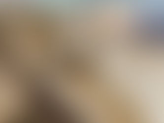 Dockside Boat Detailing for Smith Lake: Keep Your Boat Ready for the Water