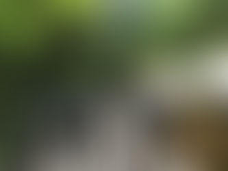 5/15(土)段戸川テンカラ講習会&ルアーガイド