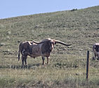 20260725_100846_resized.jpg