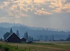 20260717_084957.jpg