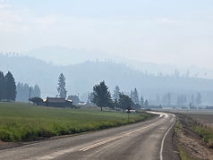 20260717_084339.jpg