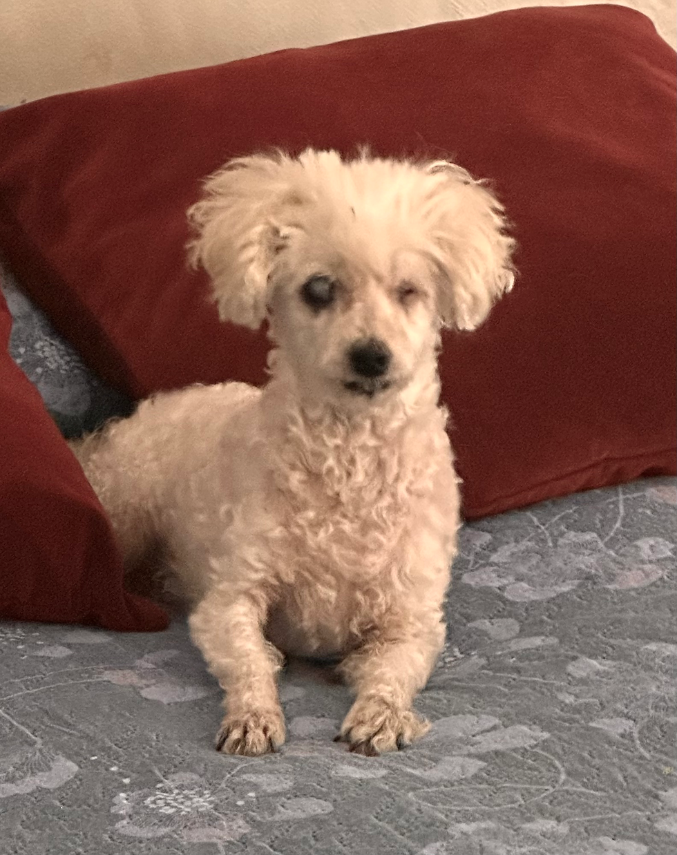 Martita