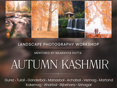"Capturing the Beauty of Autumn: A Kashmir Landscape Photography Tour"