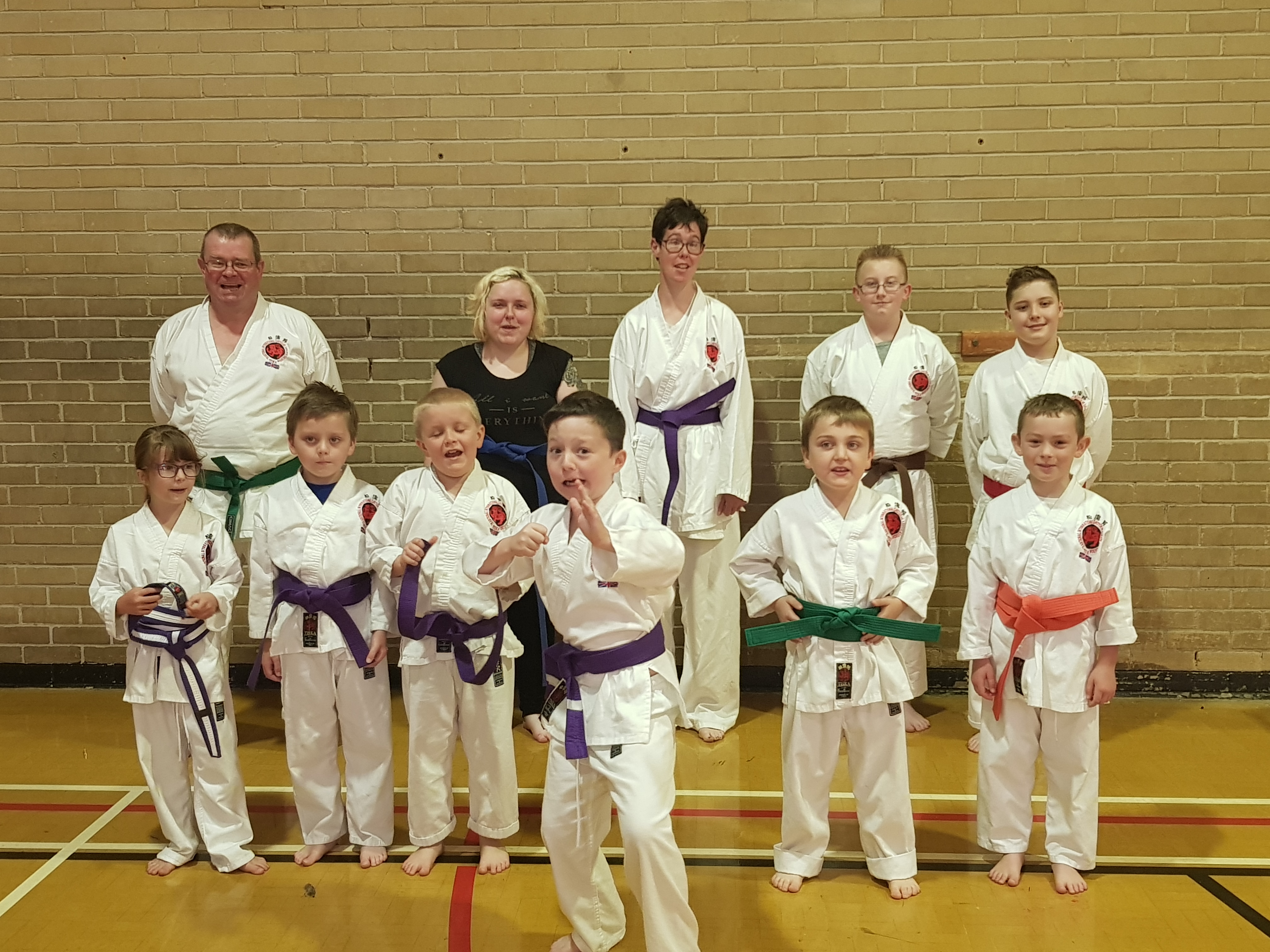 Ashfield Karate Grading Success