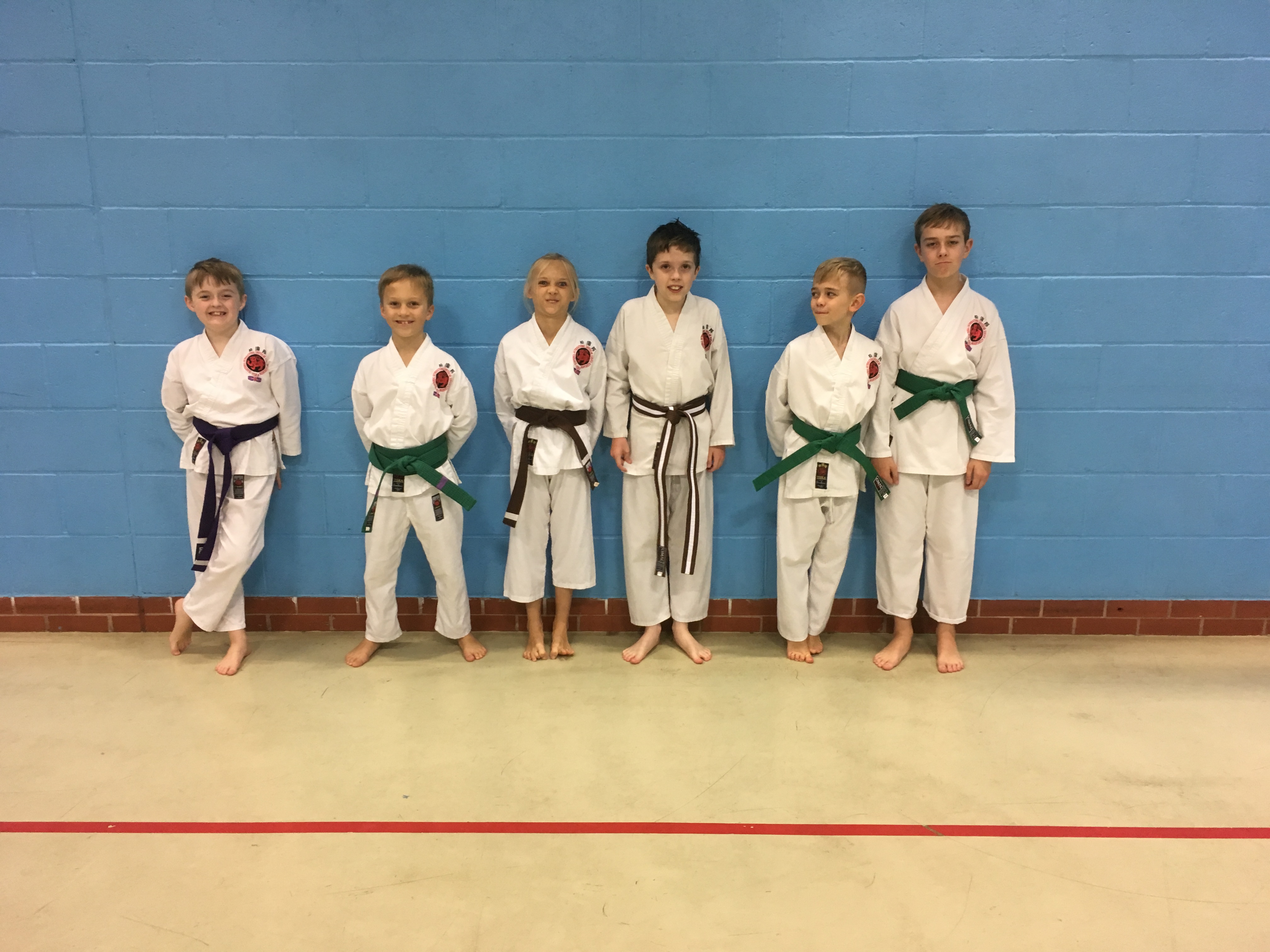 Mansfield Karate Grading Success