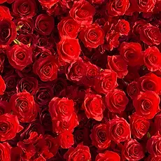 Red Flower Wall.webp