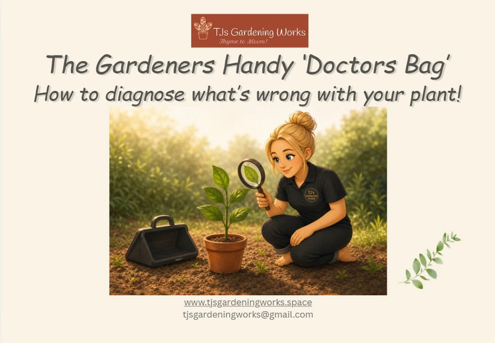 Front cover of my plant diagnosis guide