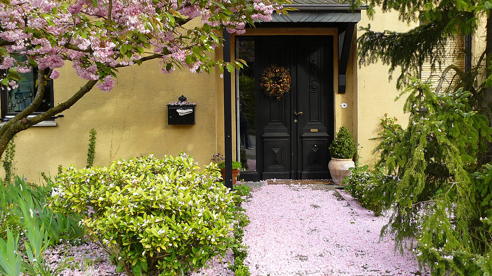 Unlock Your Home’s Potential: Cash-Out Refinance vs. Home Equity Loan