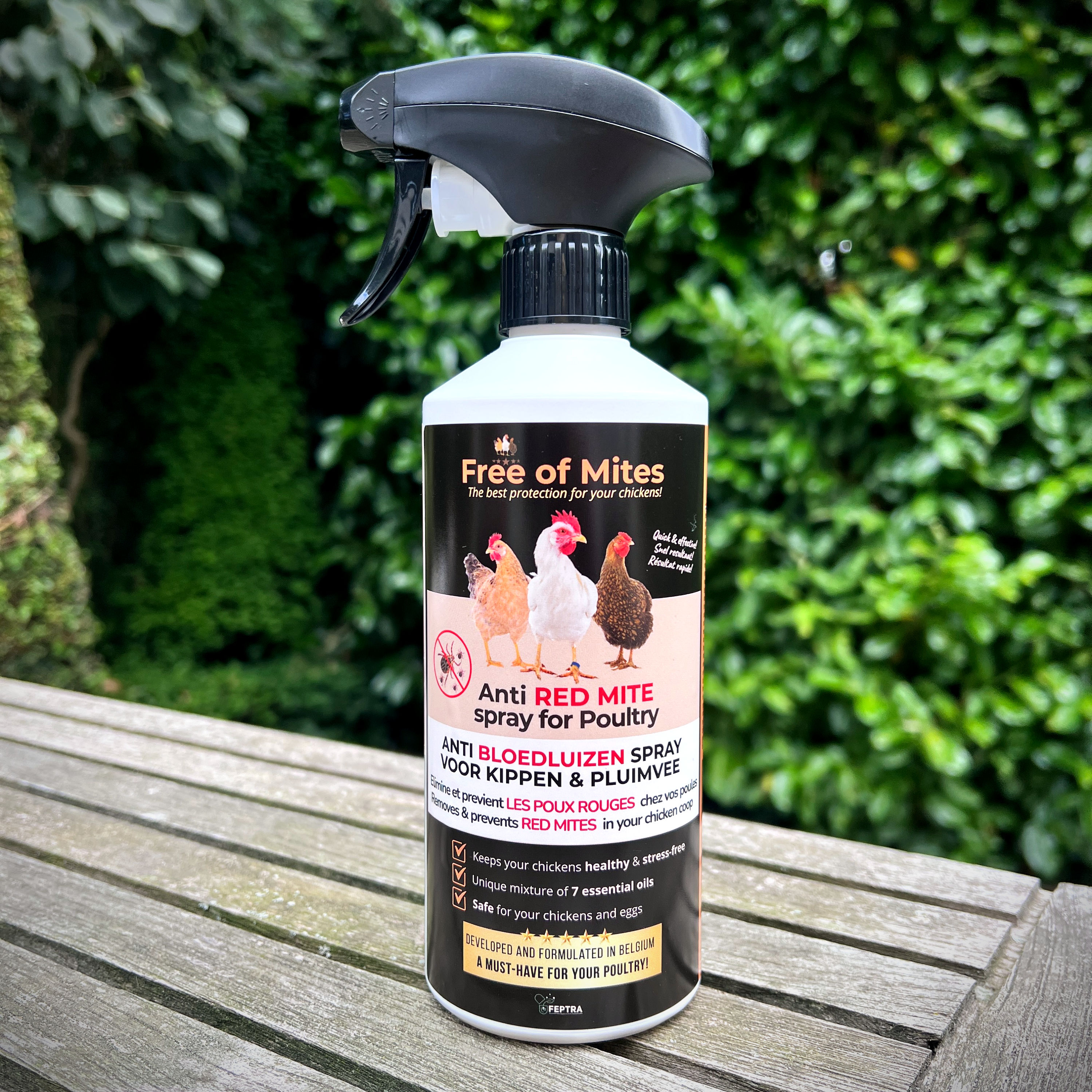• Free of Mites • Anti Bloedluis spray Kippen