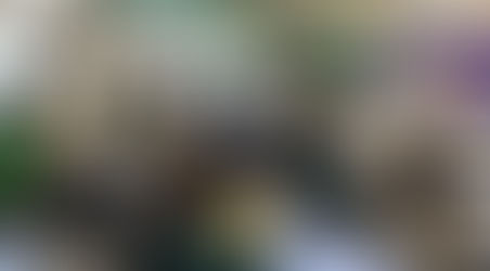 世界龍岡學校劉皇發中學邀請港香堂到校籌辦香文化工作坊