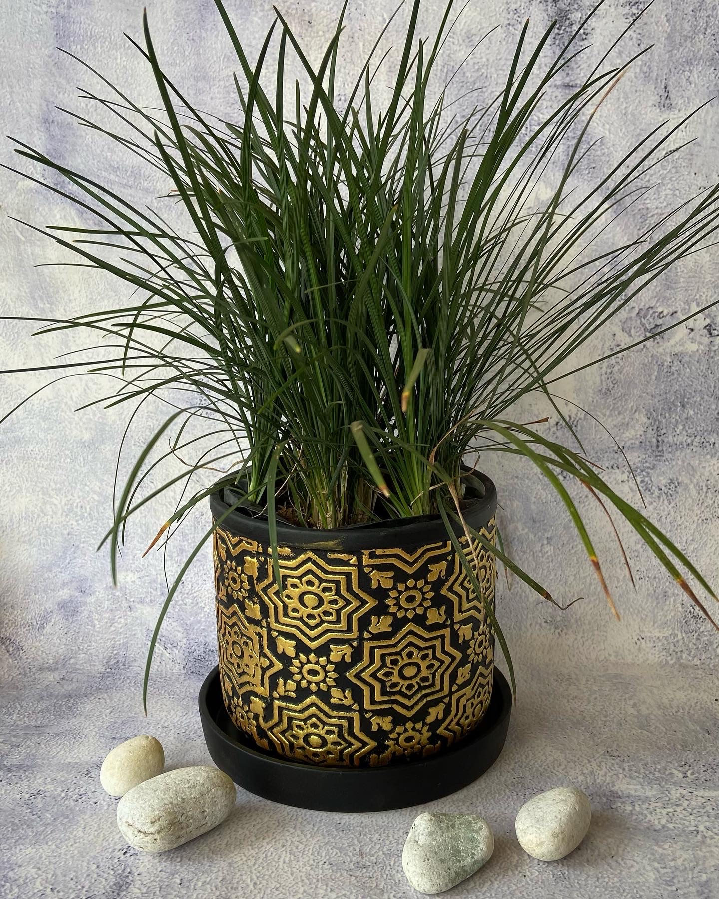 Embossed Black and Gold Planter with Plate