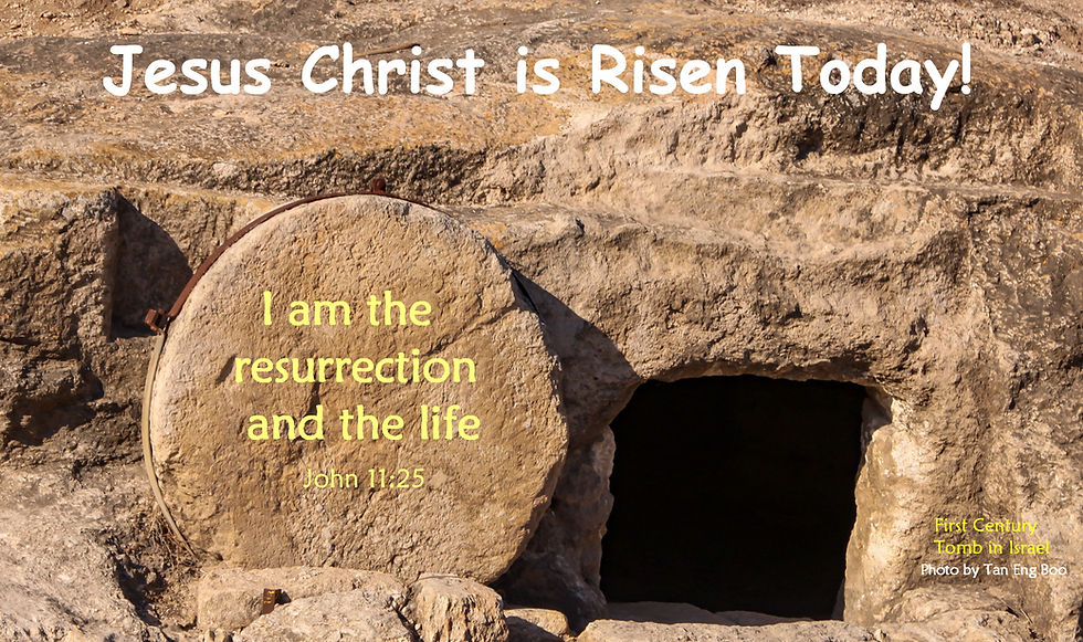 Promise of the Christian Faith