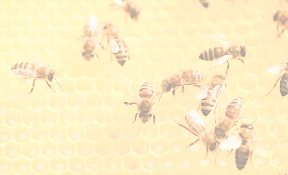 Bees at Work_edited.jpg