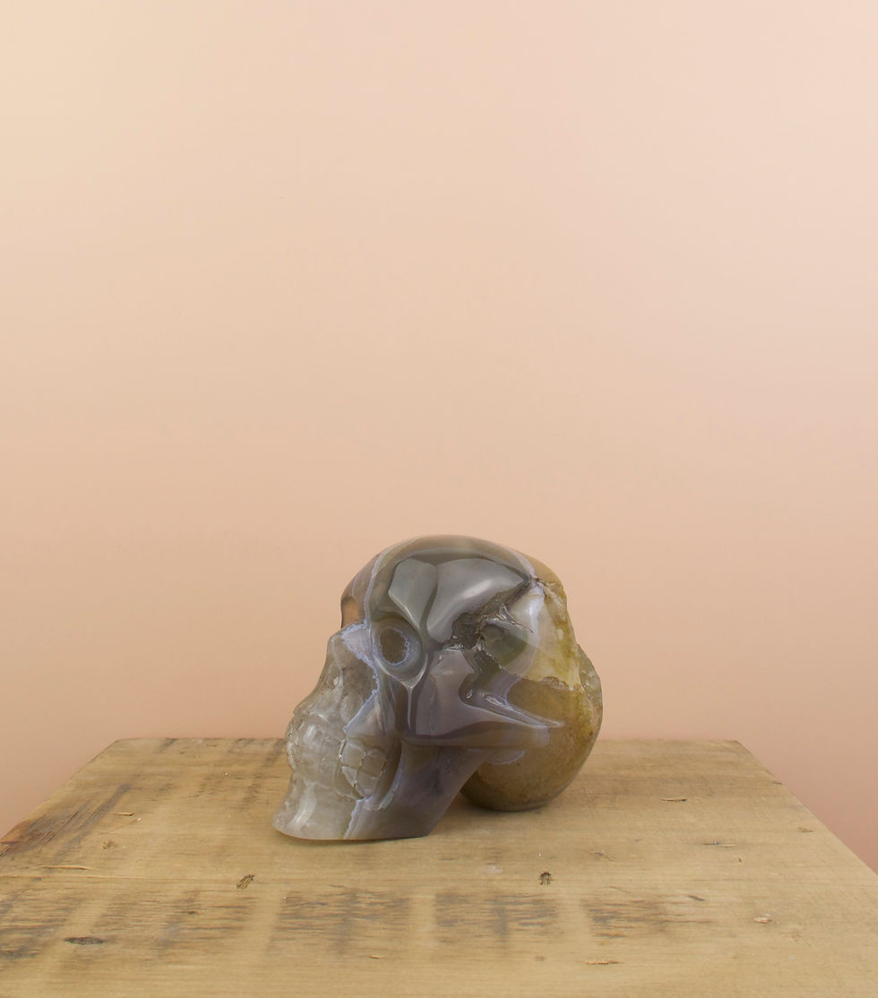 Agate Druzy Skull