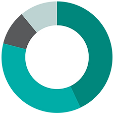 pie_chart.png