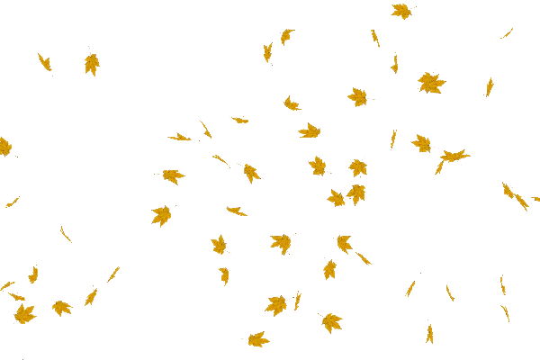 25949454.gif