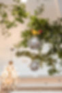 Wedding Previews-50.jpg