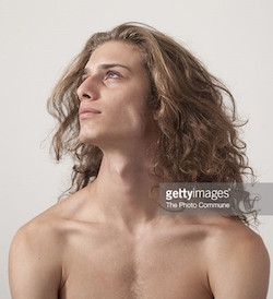 Phaedimus profile small