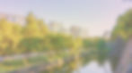 Picture Perfect Background