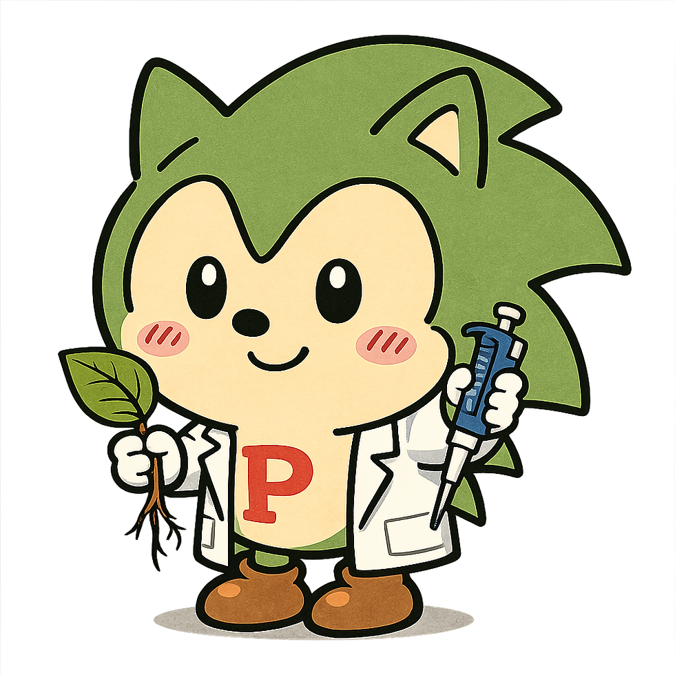P-SONIC character.png