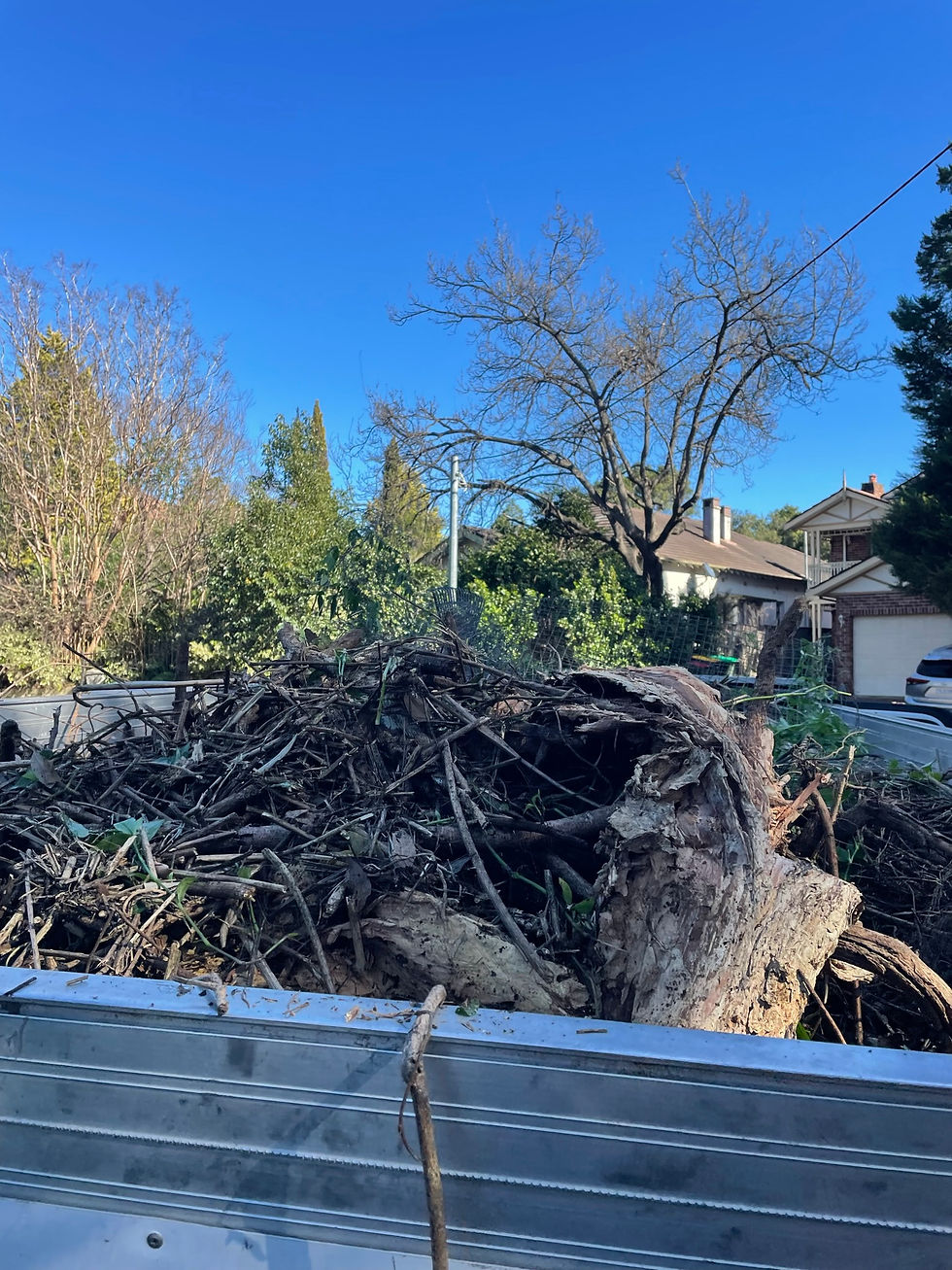 Garden and green waste clearance in Sydney — composted and recycled by Crackers Clearout