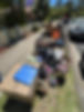 IMG_6042.JPEG