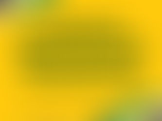 Clarendon's Emancipation & Independence Celebrations 2025 Blog cover image