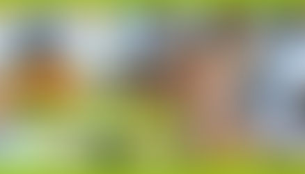 Tendências para inspirar hábitos saudáveis na sua empresa!