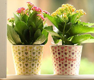Thumbnail: Flower pot with personalize printing