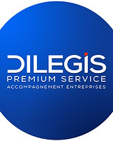 logo reseau dilegis.jpg