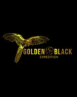 logo golden blck travel.jpg