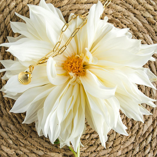 La vie de Fleur