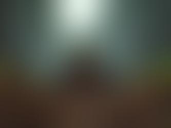 Professional Land Clearing Services in Asheville, NC